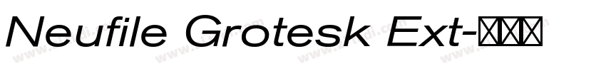 Neufile Grotesk Ext字体转换